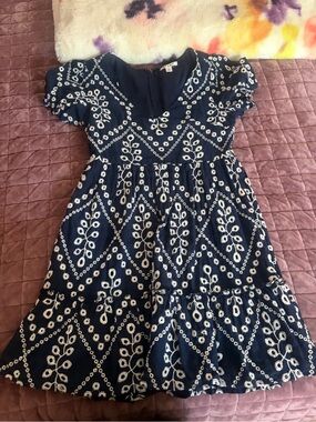 Francesca’s Navy Blue Eyelet Embroidered Dress